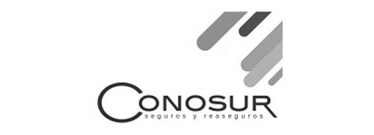 Logo-conosur
