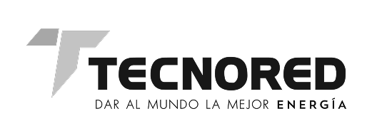 Logo-tecnored
